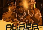 Dope Boys ft Ray Dee – Akabakateka Prod By Cassy Beats mp3 image