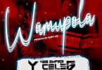 Y Celeb ft. Jemax – Wamupola