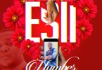 Esii Number Prod By Uptown Beats mp3 image