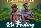 Y Celeb ft. K Bless – Ka Feeling