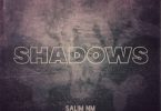 Salim NM ft Rahard OTT Pro Killz Xyco Kidd Shadows mp3 image