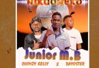 Junior Mb ft Chimzy Kelly Dayoster Nikuoneko mp3 image