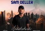 Sam Seller Nshakakushe Prod By Team Deller mp3 image