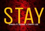 Viyado ft ZeeBee Trippy Lee Stay mp3 image