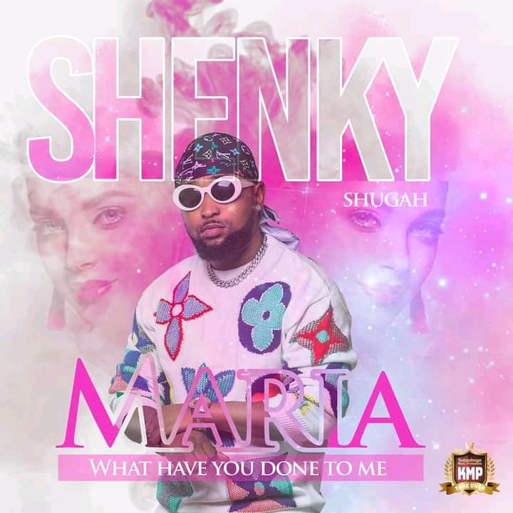 Shenky – Maria What Have You Done To Me