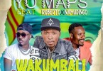 Yo Maps ft. Roberto Namadingo – Wakumbali
