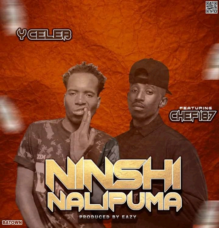 Y Celeb Ft Chef 187 Ninshi Nalipuma Zedwap Music