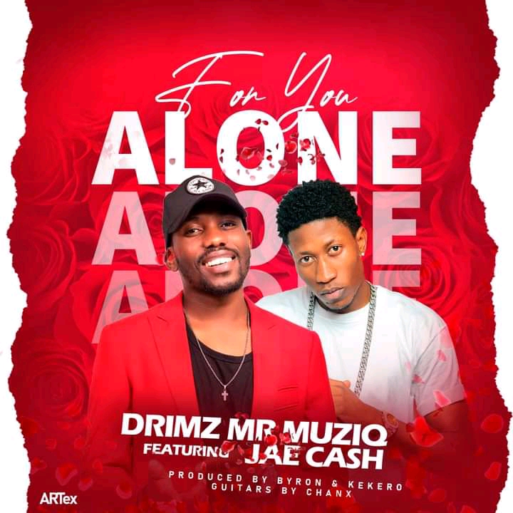 For You Alone By Drimz