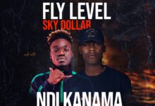 Fly Level ft. Sky Dollar - Ndikanama