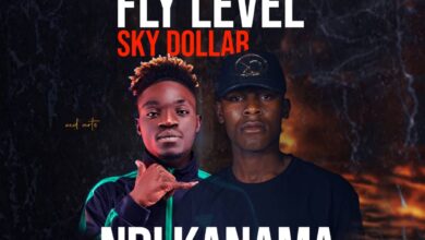 Fly Level ft. Sky Dollar - Ndikanama