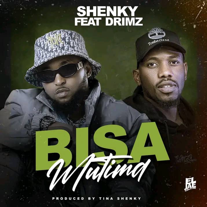Shenky ft. Drimz - Bisa Mutima Mp3 Download