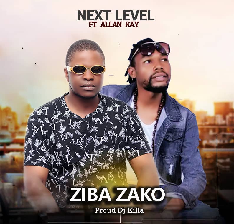 Next Level ft. Allan Kay - Ziba Zako