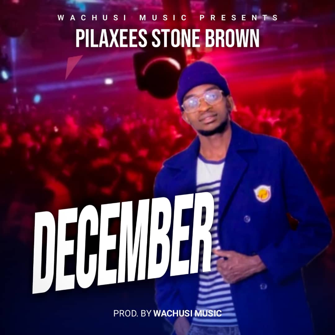 Pilaxees Stone Brown - December