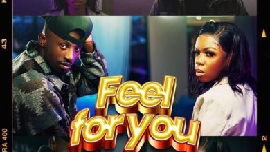 Tremaya ft. Chef 187 - Feel For You Mp3 Download