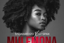 Stewardizo ft. Jr Spax - Mulemona