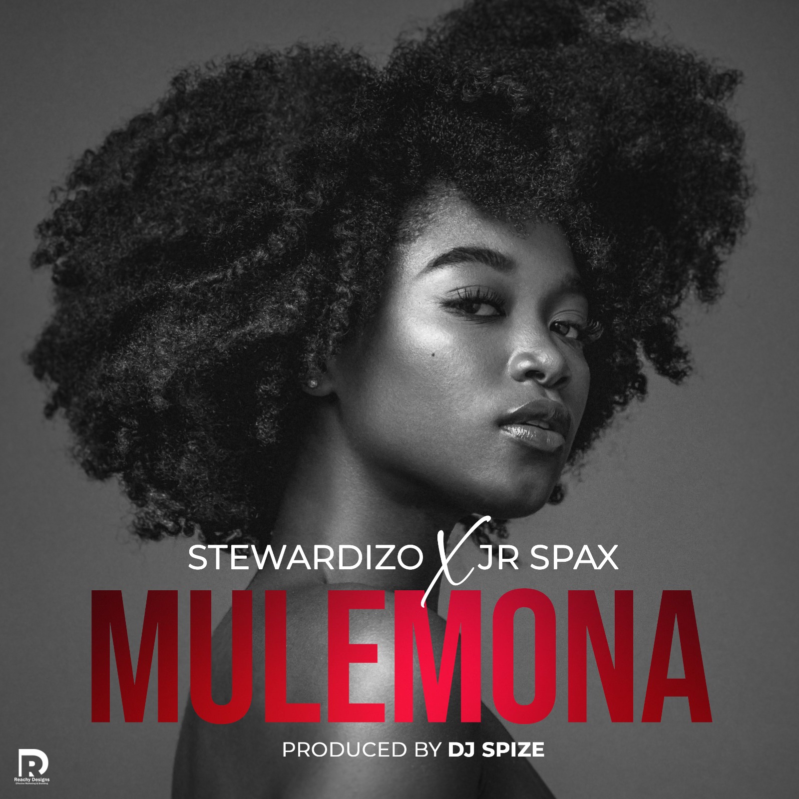 Stewardizo ft. Jr Spax - Mulemona