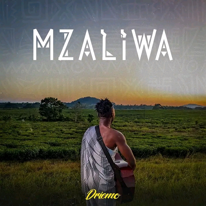 Driemo – Mzaliwa (Album Mp3 Download)