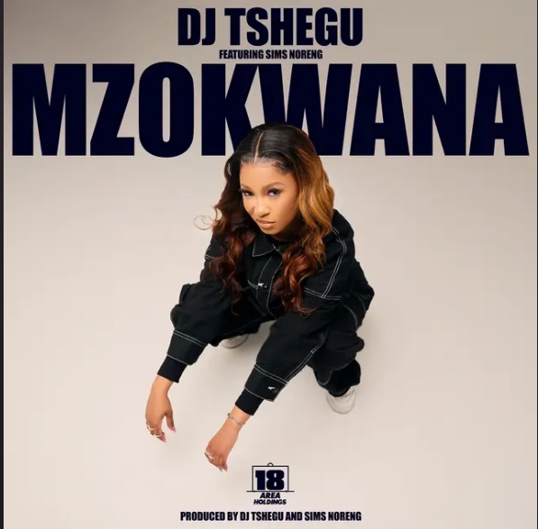 DJ Tshegu – Mzokwana ft Sims Noreng