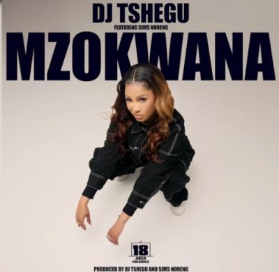 DJ Tshegu ft. Sims Noreng – Mzokwana Mp3 Download