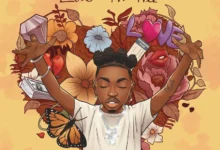 Mayorkun – Lowkey!