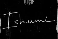 WTF – Ishumi MP3 Download