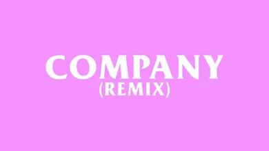 AKA ft. KDDO & Kabza De Small – Company (Remix)