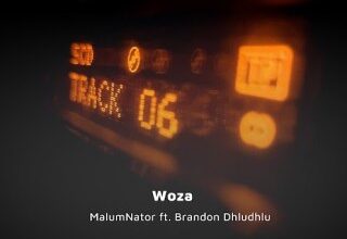 MalumNator ft. Brandon Dhludhlu – Woza