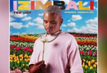 Tee Jay ft. Ntando Yamahlubi – Izimbali