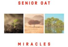 Senior Oat ft. Jay Sax – Faithful Melody
