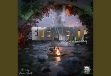Zinoleesky – Element
