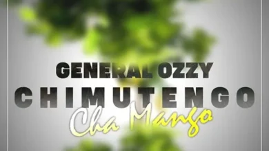 General Ozzy - Chimutengo Mp3 Download
