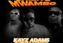 Kayz Adams ft. Vinchenzo & Nez Long - Chiliye Mwambo