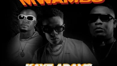 Kayz Adams ft. Vinchenzo & Nez Long - Chiliye Mwambo