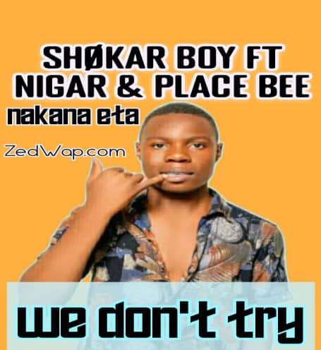 Shokar Boy ft. Nigar & Place Bee - We Don't Try