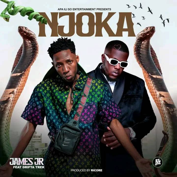 James Jr ft. Drifta Trek - Njoka