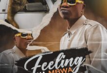 Selemanyo - Feeling Ya Mbwa