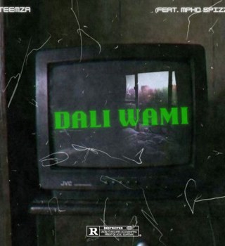 Teemza ft. Mpho Spizzy – Dali Wami