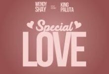 Wendy Shay ft. King Paluta - Special Love