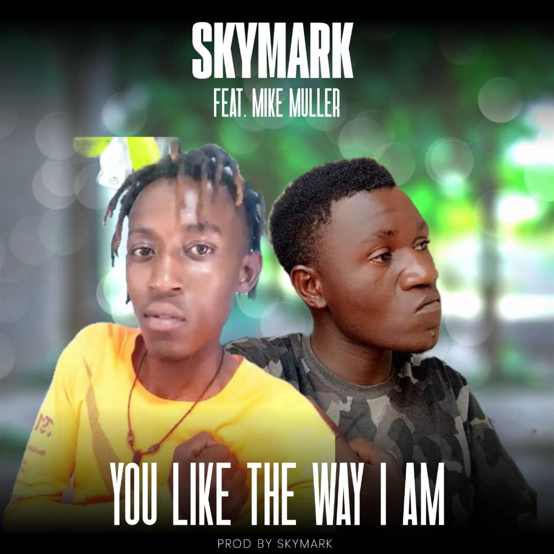 Skymark ft. Mike Muller - You Like The Way I Am