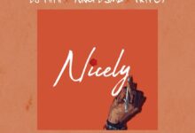 DJ FiiFii ft. Yung D3mz & Tripcy – Nicely