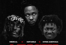 Medikal ft. Kofi Mole & Kwesi Amewuga – APICKI