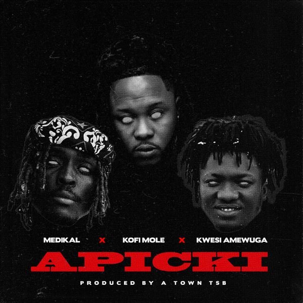 Medikal ft. Kofi Mole & Kwesi Amewuga – APICKI