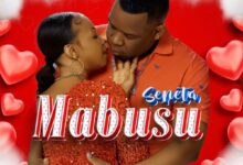 Seneta Worldwide - Mabusu