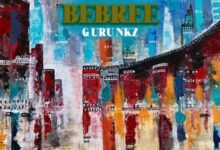 Guru NKZ - Bebree