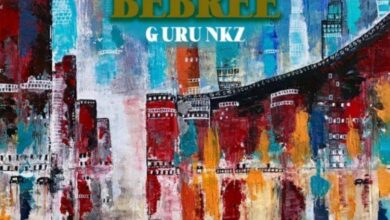 Guru NKZ - Bebree