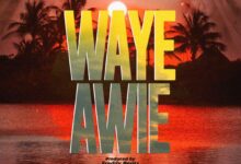 Kweku Darlington - Waye Awie