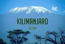 Ice Boy - Kilimanjaro