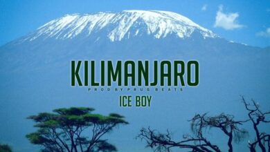 Ice Boy - Kilimanjaro