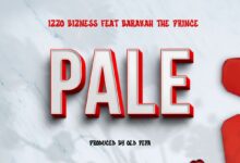 Izzo Bizness ft. Barakah The Prince - Pale