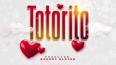 Dicky Ability – Totorito